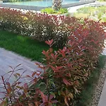 Apartment Cozy Flat азур Saints Constantine and Helena