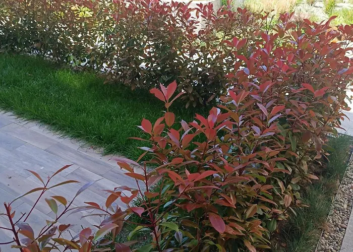 Lägenhet Cozy Flat азур Saints Constantine and Helena